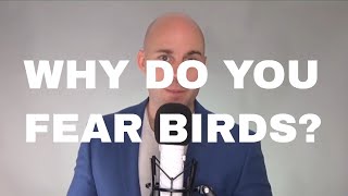 Phobia Guru explains Fear Of Birds  Ornithophobia [upl. by Nivrem]