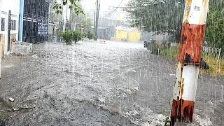 SUPER HEAVY RAIN AND STRONG WIND IN THE INDONESIAN RURAL VILLAGE [upl. by Bach]