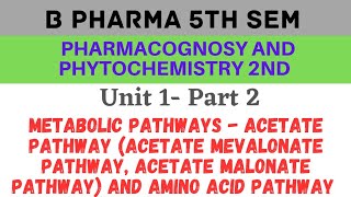 Acetate pathway in pharmacognosy  Amino acid pathway  Pharmacognosy and phytochemistry 5th sem [upl. by Ennahtur]