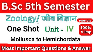 BSc 5th Semester Zoology Paper 1st Unit IV Mollusca to Hemichordata MCQS [upl. by Canon61]