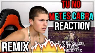 Tu No Metes Cabra Remix🔥  Bad Bunny Daddy Yankee Anuel amp Cosculluela REACTIONREACCION [upl. by Karena]