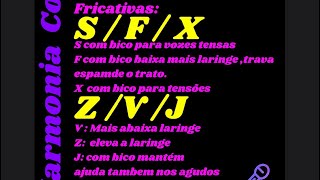 Exercícios de Quebrando padrões tensos e vozes alertadas FRICATIVAS [upl. by Norda]