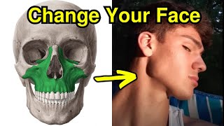 How to Change the Bonestructure of your Face [upl. by Eelah397]