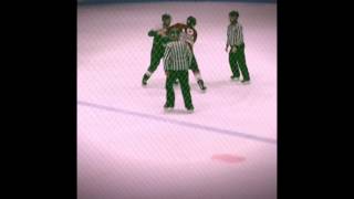 PEI Senior Hockey Fights [upl. by Antipus]