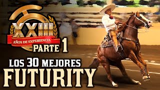 30 mejores  Caladero FUTURITY parte 1  Caladeros Millonarios 2020 THV [upl. by Micro]