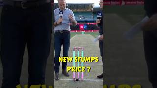 Modern Cricket के Modern Stumps जानिए क्या है Speciality और Price  cricket stumps ipl2024 bcci [upl. by Dry]