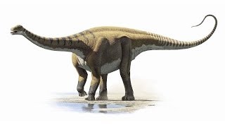 Prehistoric News  First Dinosaurs from Saudi Arabia [upl. by Mussman]