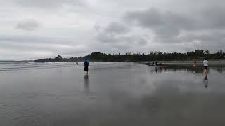 Cox Bay Beach  Tofino I Ucluelet  BC  Canada [upl. by Ahsaelat]