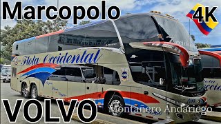 Flota Occidental 🚍 Medellín Pereira Gran Emperador Élite VOLVO B450R Marcopolo Paradiso 1800 DD Trip [upl. by Saerdna]