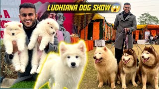 Biggest Dog show of PunjabIndia😱 Exotic Breeds [upl. by Chamberlin74]