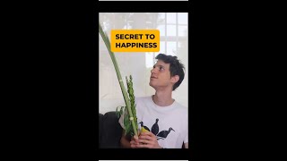 The Surprising Jewish Secret to Happiness SUKKOT Lulav amp Etrog [upl. by Ogir]