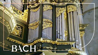 Bach  Fantasia and fugue in G minor BWV 542  Van Doeselaar  Netherlands Bach Society [upl. by Sammons172]