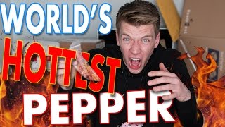 Tasting WORLDS HOTTEST PEPPER Challenge  Collins Key Taste Testing [upl. by Ninnahc]