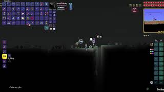 Killing witch calamity in terraria calamity mod hopefully [upl. by Buatti]