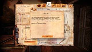 Lets Play Drakensang The River of Time English 1 [upl. by Cammi]