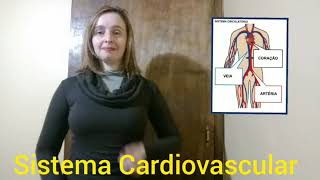 Sistema Cardiovascular  parte 1 em Libras [upl. by Anidene]