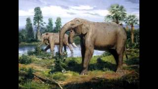 Top 10 Prehistoric Mammal Herbivores [upl. by Nywnorb]