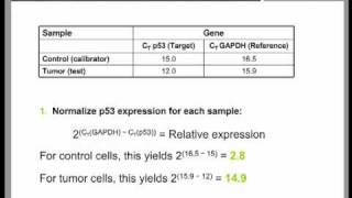 Real Time QPCR Data Analysis Tutorial part 2 [upl. by Anirdnajela]