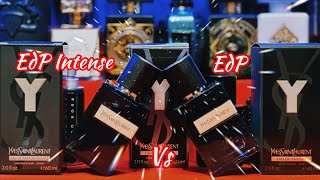 Ysl EdP Intense 2023 😃 vs EdP [upl. by Healy325]