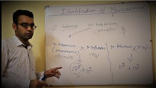 Monosomics Part 2 Identification of Monosomics [upl. by Anivahs]