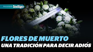 La historia detrás de las tradicionales coronas fúnebres de Jamaica  Reporte Indigo [upl. by Nylsej]