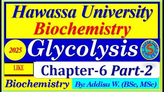 glycolysis metabolism metabolic pyruvate exercise biochemistry [upl. by Aeirdna]