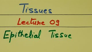 Class 9th Biology Tissues Lecture 09 Epithelial Tissue by Shilpa Chaudhary [upl. by Alekin]