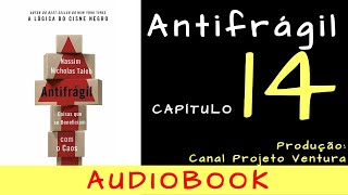 ANTIFRÁGIL  Capitulo 14  Nassim Taleb  AUDIOBOOK [upl. by Alfi]