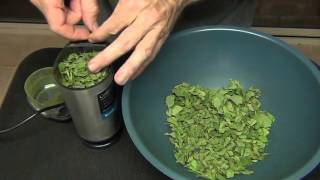 Powdering Moringa Leaves [upl. by Rinna851]