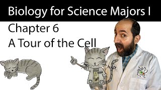 Chapter 6  A Tour of the Cell [upl. by Nancee]