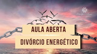 Aula Aberta  Tudo Sobre Divórcio Energético [upl. by Gent545]