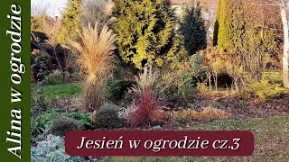 Jesienny ogród  cz 3 [upl. by Atcele]