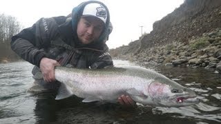 Float Fishing For Big Chrome Washington amp Oregon Steelhead [upl. by Etat]