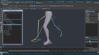 Rig an Ik Fk Leg  Maya Part1 [upl. by Nylodnew]