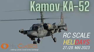 RC HELICLASSICS RUSSIAN KAMOV KA52 RC Scale Helicopter Show 2023 [upl. by Nimsay]