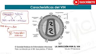 INFECCIÓN POR VIH  SIDA Y ENFERMEDADES OPORTUNISTAS [upl. by Nanahs]