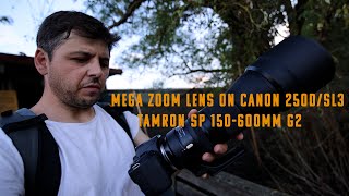 Mega zoom lens on Canon 250dsl3  Tamron sp 150600mm g2  wildlife [upl. by Elisabetta]