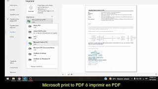 Tip Correo a PDF [upl. by Holmun]