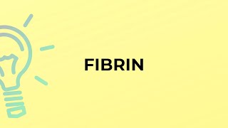 What is the meaning of the word FIBRIN [upl. by Torto]