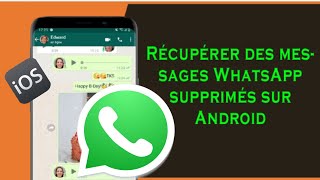 3 méthodes pour récupérer vos conversations WhatsApp supprimées sur iPhone [upl. by Ellene]