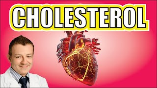 Does Cholesterol Really Cause Heart Disease Cardiologist Reviews Data [upl. by Ettevram]