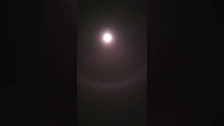 Moon 😇 halo life nature science night sky moon halo [upl. by Lashond]