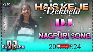 HaiskejedekhelanewNagpurisong2024Dj Remix Song 2024 mixing master Dj Raju Babu chitpil [upl. by Humbert]