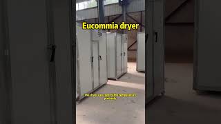 Eucommia dryer [upl. by Hpsoj15]