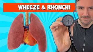 Wheeze and Rhonchi 🩺 🫁 Lung Sounds For Beginners 🔥🔥🔥 [upl. by Ellehciram115]