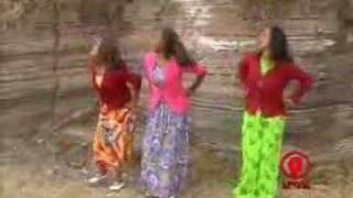 Ethiopian Music  Taddalaa Gammachuu  Raada Raadaa [upl. by Uhsoj425]