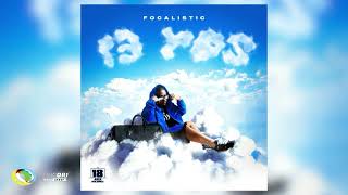 Focalistic  Schwarzenegger Feat Sims Noreng and Herc Cut The Lights Official Audio [upl. by Yerkovich122]