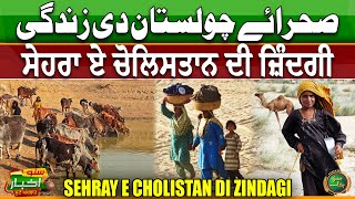 Sehray E Cholistan Di Zindagi  Life in Cholistan Desert  Punjabi News Today  Suno Akhbar [upl. by Ardeahp]