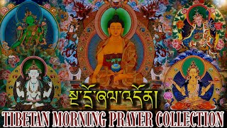 ☸Tibetan Morning Prayer Collectionསྔ་དྲོ་ཞལ་འདོན། दैनिक बिहानी साधना [upl. by Anibor]