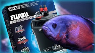 Fluval 407 Canister Filter Setup amp Review [upl. by Rabbi930]